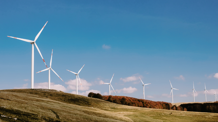 Fenton Fitzwilliam - Mills.png