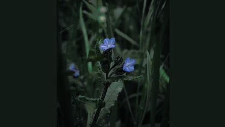 PRII Website Template - 2026-02-09T151039.388.jpg 1